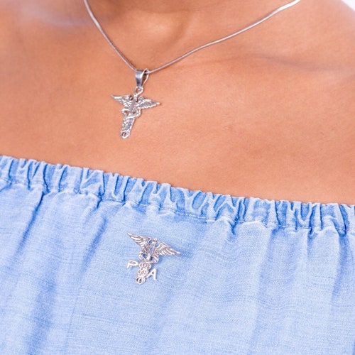 RN shops Jewelry set, Registered nurse gift ideas, medical symbol Necklace and drop earring set, ,caduceus, staff of Hermes,