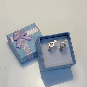 K&ouml;nnte beinhalten: Ein Paar silberne Ohrringe in Form des m&auml;nnlichen Geschlechtszeichens, pr&auml;sentiert in einer hellblauen Geschenkbox mit einem violetten Band.