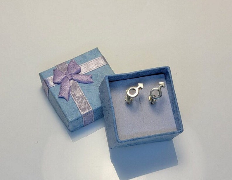 K&ouml;nnte beinhalten: Ein Paar silberne Ohrringe in Form des m&auml;nnlichen Geschlechtszeichens, pr&auml;sentiert in einer hellblauen Geschenkbox mit einem violetten Band.