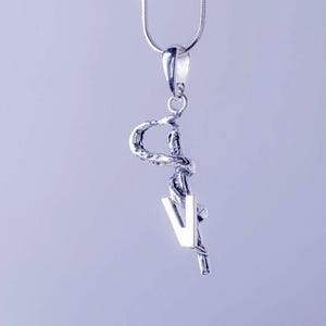Veterinary medical symbol, sterling silver pendant, handmade jewelry gift for Vet Doctor