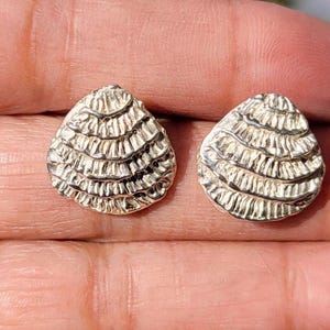 May include: A pair of silver earrings shaped like seashells. The earrings have a textured, layered design.