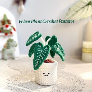 May include: A crochet plant with dark green heart-shaped leaves featuring white embroidered veins, potted in a white crocheted container with a simple embroidered smiling face. The text Velvet Plant Crochet Pattern is visible above.