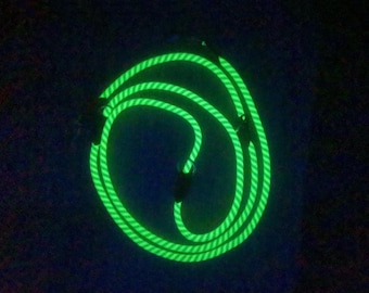 Glow in the Dark Dog Leash 10 ft, Adjustable Long Training Lead that Glows in the Dark, No Batteries Needed