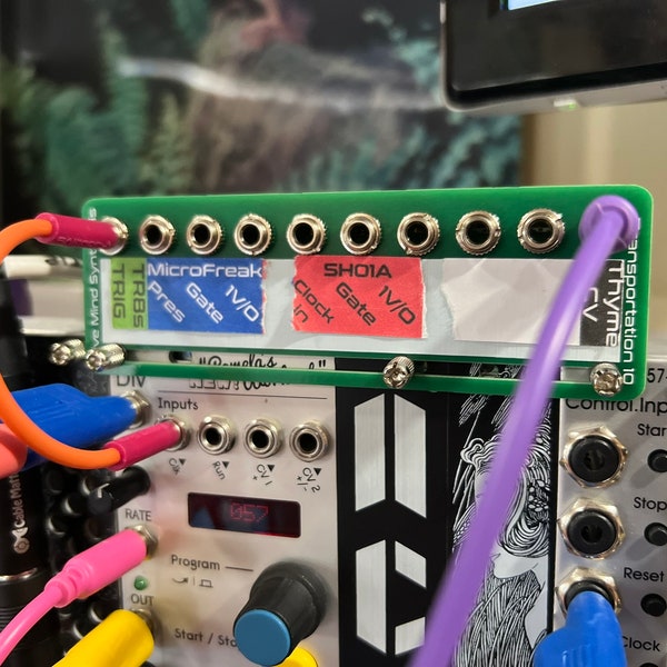 Hive Mind Transportation 10 - Eurorack and Semi-Modular Synthesizer Patchbay Connection System (10-channel)