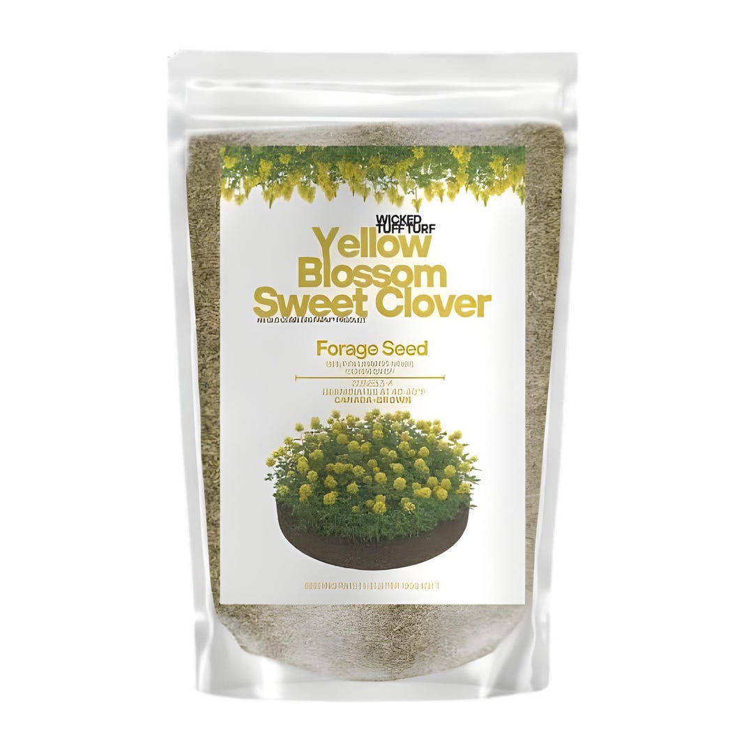 Turf Swee Old Cobblers Farm™ Wicked Tuff Turf Sweet Clover (legumes) Seed Deep ...