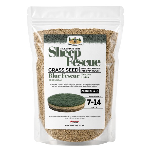 Old Cobblers Farm™ Wicked Tuff Turf Sheep Fescue (Grasses) | Drought Tolerant No Mow Grass Seed