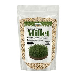 Old Cobblers Farm™ Wicked Tuff Turf Millet Seed | Waterfowl Duck Food Plot Forage