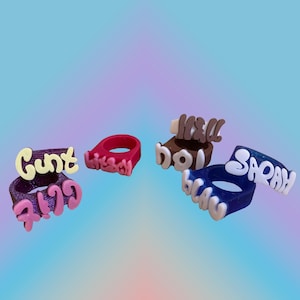 Könnte beinhalten: Vier farbige Ringe mit Text. Ein Ring ist lila mit dem Wort "Cunt" in Gelb. Ein anderer ist rot mit dem Wort "Kiss" in Rosa. Ein brauner Ring hat "Hell" in Weiß. Ein blauer Ring hat "Sarah" in Weiß.