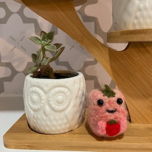 Kawaii Strawberry felted frog figure