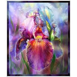 Rainbow Iris Panel #114 965832