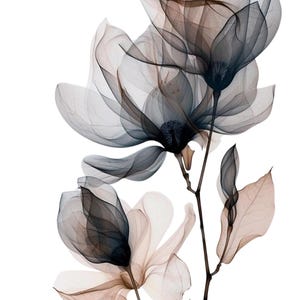 Puede incluir: Una impresión botánica artística con flores de magnolia translúcidas en tonos marrón, gris y blanco. Los delicados pétalos y tallos se destacan sobre un fondo blanco limpio, creando una estética suave y etérea.