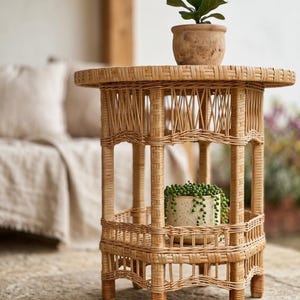 May include: A round light brown wicker side table featuring a woven top, a lower shelf, and vertical support pillars. A small potted plant with dark green leaves sits on the top, and a speckled ceramic pot with trailing vines sits below.