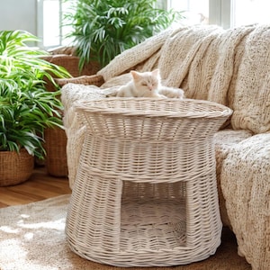 May include: A light beige woven cat bed with a round base and a domed top. The cat bed has a rectangular opening and a sleeping cat on top. The cat bed is on a beige rug, with plants and a sofa in the background.