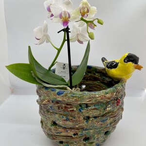 May include: A white orchid plant with purple accents in a green and brown ceramic pot with a yellow bird figurine perched on the rim. The pot has a textured, bark-like design with holes for drainage.