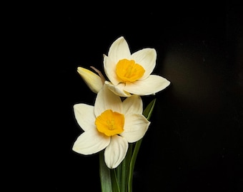 Daffodil Flower Brooch – Spring Jewelry by ClayColadaCo