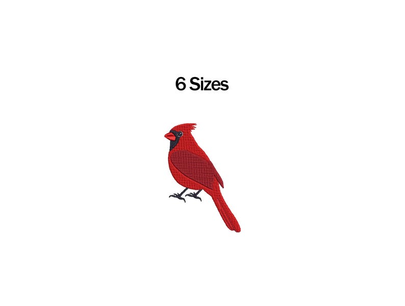 May include: A vibrant red cardinal bird embroidery design. The bird has a black beak and legs, with a textured appearance. The text "6 Sizes" is above the bird. This design is suitable for various crafting projects.