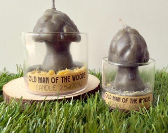 Old Man of the Woods Mushroom Specimen Candle - Ambergris and Cedar Scent
