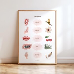 Póster imprimible de los cinco sentidos Montessori para el desarrollo sensorial preescolar.