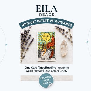 One Card Tarot Reading | Yes/No Quick Answer, Love Career Clarity (24 Hours)