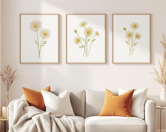 May include: Three framed daisy prints with a watercolor style. The daisies have white petals and yellow centers, with green stems and leaves. The frames are a light wood color. The prints are above a white couch with orange and white pillows.