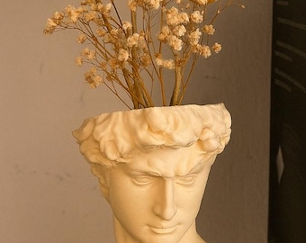 3D Printed-David Bust Planter – Minimalist Greek Statue Vase – Modern Home & Bookshelf Decor