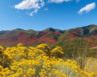 Autumn Mountain Landscape Print | Yellow Wildflowers & Red Hills Wall Art | Nature Photography | Digital Download