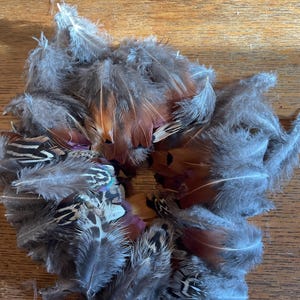 Plumas naturales de faisán: artículos para manualidades, atado de moscas (2,5-7,6 cm)