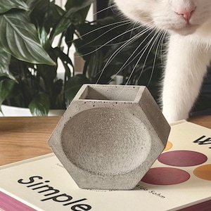 May include: A hexagonal concrete planter with a textured gray finish and a hollow center. The planter features a geometric design with flat sides and a recessed circular detail on the front face, providing a sturdy and industrial appearance.
