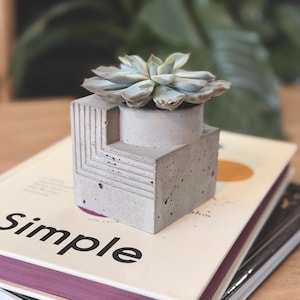May include: A small, gray concrete planter with a geometric design, holding a light green succulent. The planter sits atop a stack of books, one of which has the word "Simple" printed on the cover.