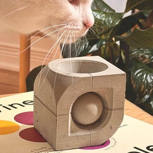 May include: A light grey concrete planter with a geometric design, featuring a circular indentation and a sphere. The planter sits on a book with colourful circles. A white cat is in the background.