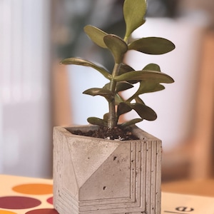 Apogee - Brutalist Angular Concrete Succulent Planter – Modern Architectural Pot, Geometric Design