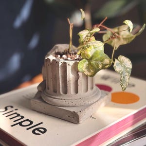 May include: A small, concrete planter shaped like a classical column, holding a small plant with green and white variegated leaves. The planter sits atop a stack of books, with the word "Simple" visible on the top book.