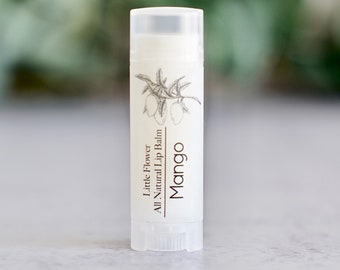 NEW - Mango Lip Balm - Natural Chapstick, Lip Balms Shea butter, Flavored Lip Balm, Handmade Lip Care, Moisturizing Chapstick, Lip Butter