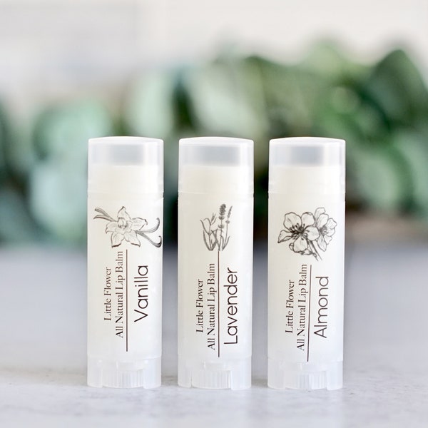Natural Lip Balm Set of 3 - Stocking stuffer idea | Chapstick Stocking Stuffer 3 Pack - Small gifts under 15 for coworker mom
