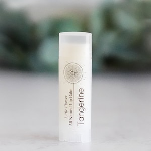 Tangerine Lip Balm - Natural Chapstick, Lip Balms Shea butter, Flavored Lip Balm, Handmade Lip Care, Moisturizing Chapstick, Lip Butter