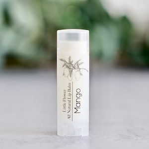NEW - Mango Lip Balm - Natural Chapstick, Lip Balms Shea butter, Flavored Lip Balm, Handmade Lip Care, Moisturizing Chapstick, Lip Butter