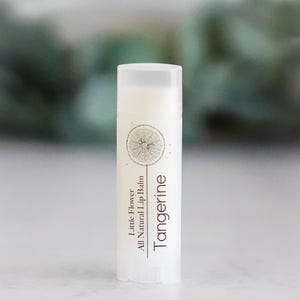 The Little Flower Soap Co - Almond Flavor Lip Balm - Natural Chapstick, Shea butter, Handmade Lip Care, Moisturizing Chapstick, Lip Butter Tangerine