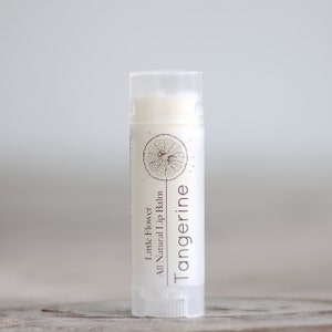 Bálsamo labial de mandarina - Bálsamo labial natural, Bálsamos labiales de manteca de karité, Bálsamo labial con sabor, Cuidado labial hecho a mano, Bálsamo labial humectante, Manteca labial imagen 2