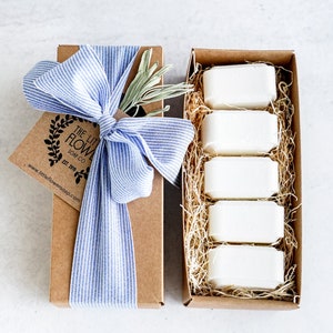 Shower Steamers Gift Box of 5, Mother's Day Gift Ideas shower fizzy set Small gifts for women Gift for Friend Mom Coworker Teacher Nurse her image 3
