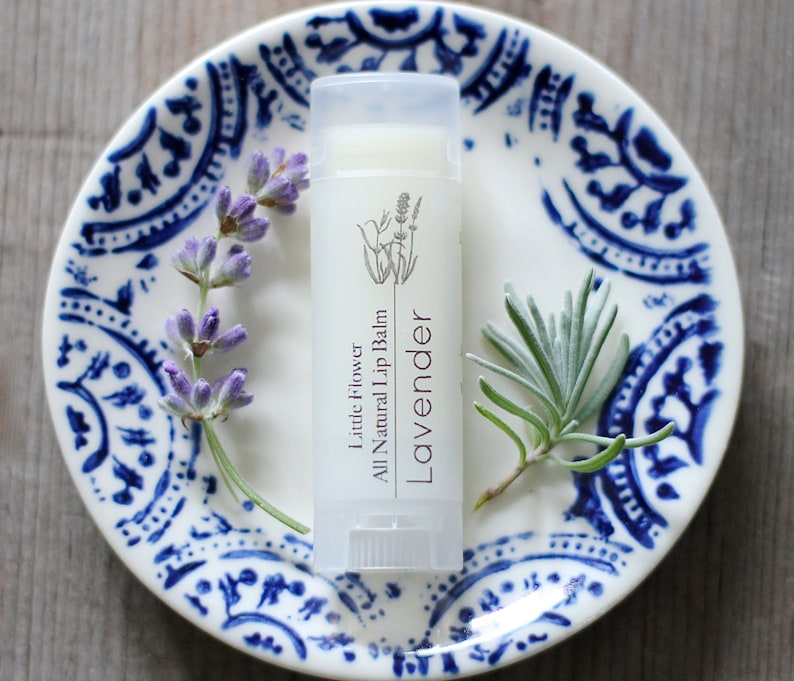 Best Friend Gift Sister Gift Chapstick Gift Set Lip Balm Set Etsy