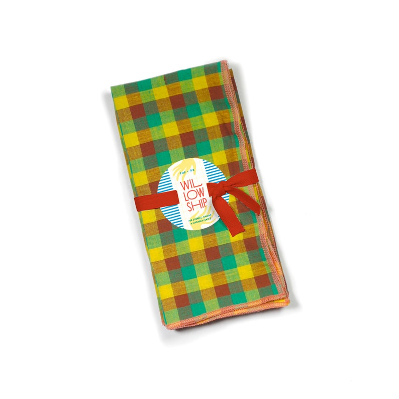 Heatwave Multi-color Gingham Cloth Dinner Napkins, Set of 2 image 4