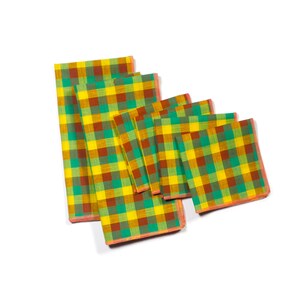 Heatwave Multi-color Gingham Cloth Dinner Napkins, Set of 2 image 6