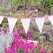 see more listings in the Bunting section