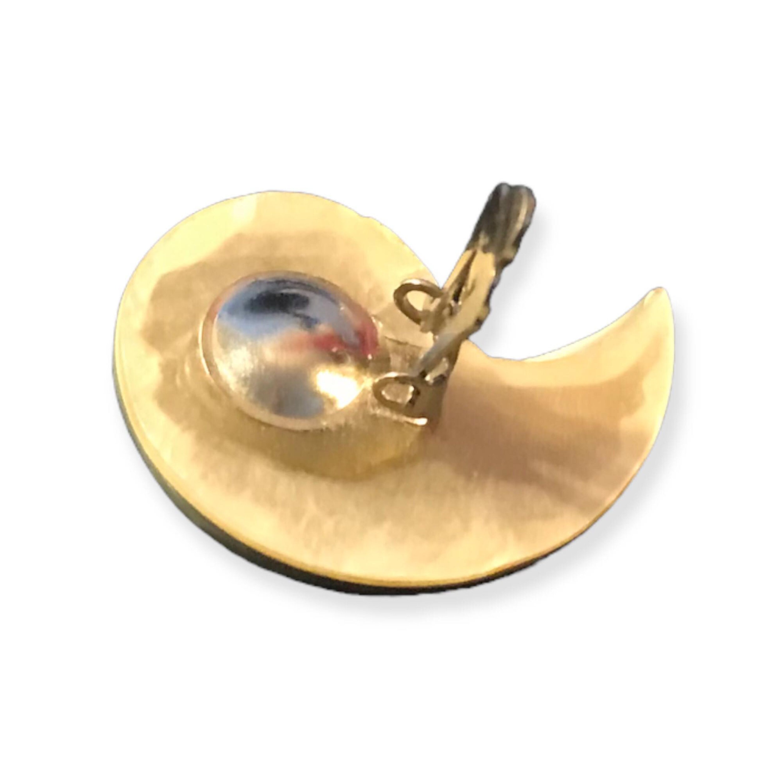 Real Snail Shell Earrings Clip on Vintage Real Natural Genuine Etsy