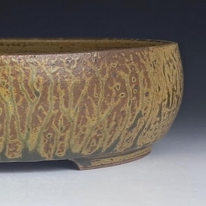 May include: A low, oval ceramic bonsai pot featuring a textured, earthy brown and tan glaze with a distinct, branching, tree-like pattern that runs vertically along the exterior walls. The vessel has a wide, open top and a sturdy, raised base.