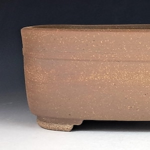 May include: A rectangular bonsai pot in a warm, earthy tone. The ceramic container has a textured surface with subtle speckling and a horizontal groove detail. It rests on four small feet.