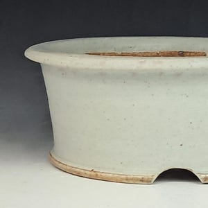 May include: A light blue ceramic bonsai pot with a rounded oval shape. The pot has a wide rim and a small drainage hole. The exterior has a speckled texture and a light brown base.