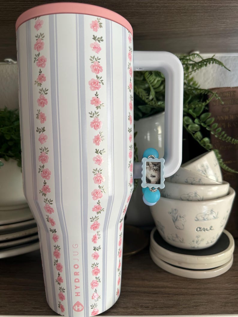 Puede incluir: Una HydroJug blanca con tapa y asa rosas, adornada con rayas grises verticales y patrones de rosas rosas. La jarra presenta el texto "HYDROJUG" y un peque&ntilde;o dije de gato adjunto al asa.