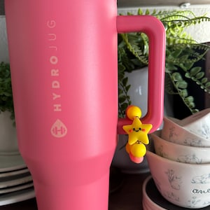 May include: A large, pink HydroJug water bottle with a handle, displaying the brand name and logo. A yellow star charm with a smiling face is attached to the handle. The background includes decorative bowls and greenery.