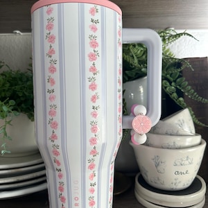 Citrus/Lemon/Orange Stanley/Hydrojug/Tumbler Handle Charm Bild 1